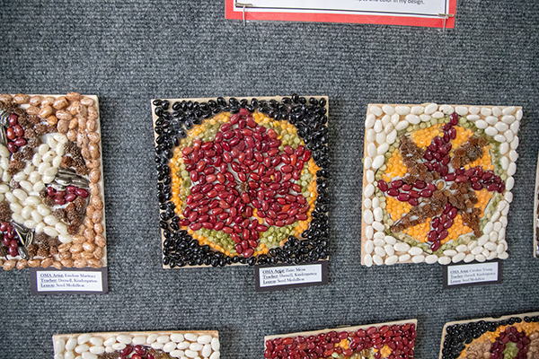 A display of student artwork created with beans